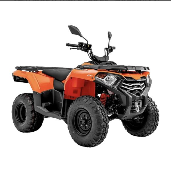 X-WOLF 300cc 'DRIVER CAR LICENSE AND MINIMUN AGE 23 YEARS OLD’