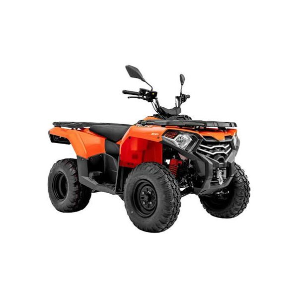 X-Wolf 300CC "DRIVER CAR LICENCE AND MINIMUM AGE 24 YEARS OLD REQUIRED"